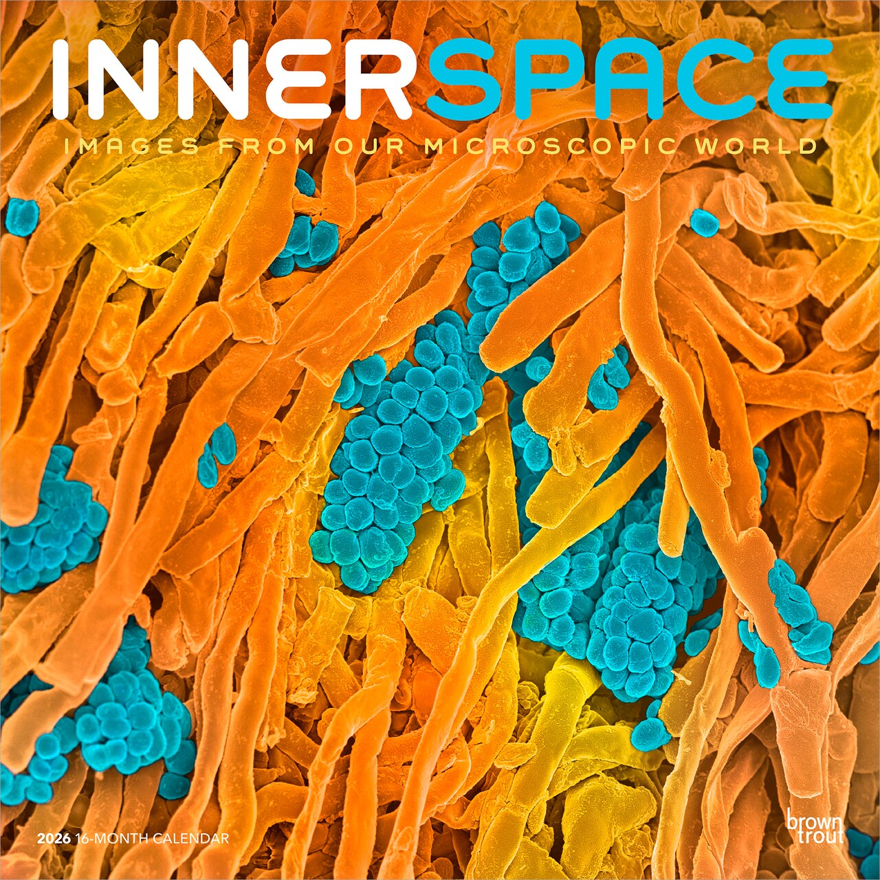 Microscopic World of Innerspace | 2026 12 x 24 Inch (Hanging) Monthly Square Wall Calendar | Plastic-Free